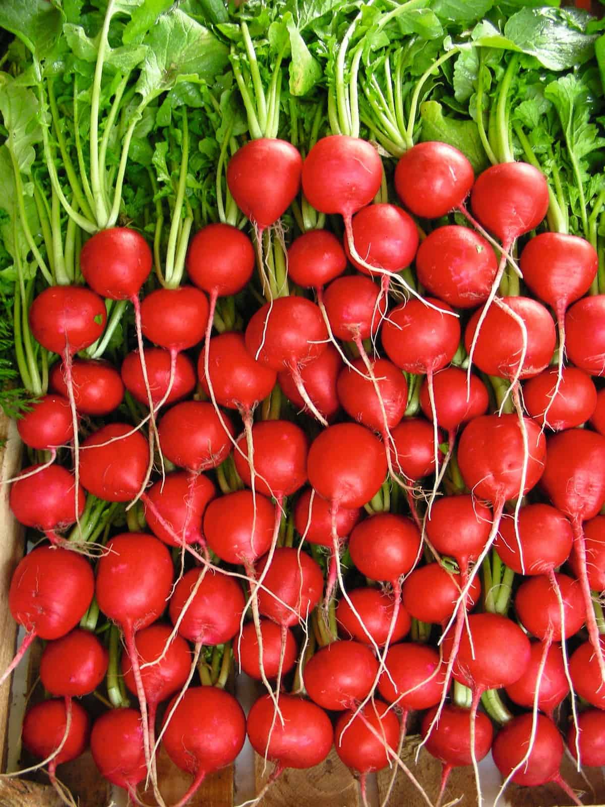 Reddish